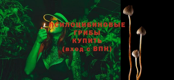 шишки Алексеевка