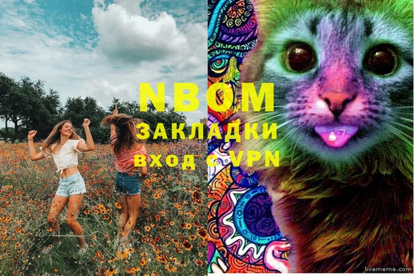 индика Арсеньев