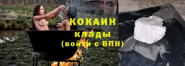 шишки Алексеевка