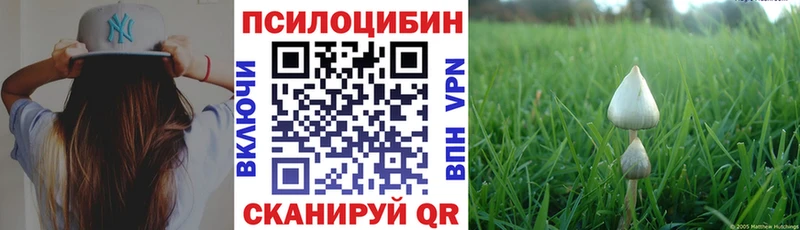 Псилоцибиновые грибы ЛСД  где можно купить   ОМГ ОМГ рабочий сайт  Лодейное Поле 